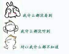 求购一个洋葱头表情图片内容好像是我什么都没听到什么都没看到所以我什么都不知道拜托帮忙谢谢