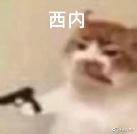 一手好牌打的稀巴烂