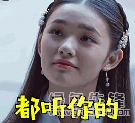 斗破苍穹吴磊林允表情包合集斗破苍穹表情包素材v1.0最新版软件下载