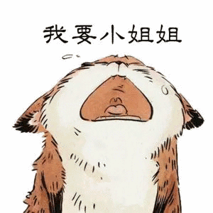 撩小姐姐表情包合集小姐姐,约不约小帅哥啊