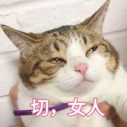 你见过那些搞笑的情头