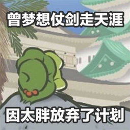 爆笑段子今天,带着侄子去超市碰到一美女老婆
