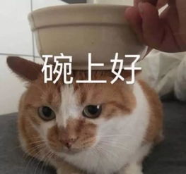 曾经爆火的她们15年后再聚首,可能是唯一不吹艳压的同框吧