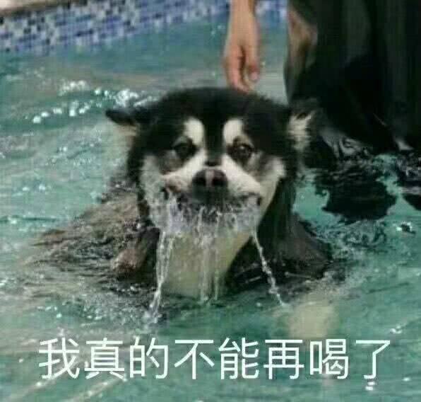 幽默段子笑话幼儿园俩小朋友玩过家家,一个小男孩让小女孩当妈