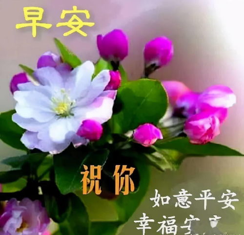 人在,常联系情在,要珍惜,早上好
