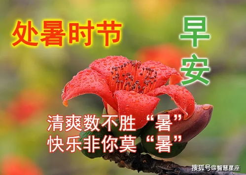 2021处暑节气清晨早上好问候动态表情图片大全精选最新早安问候祝福语简短