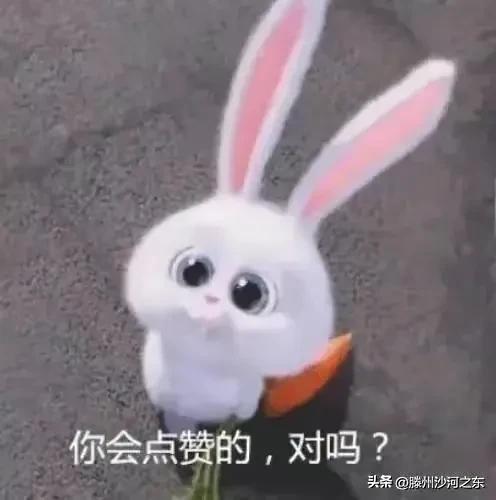 神回复是兄弟就来砍我,拼夕夕系统附身,还差一刀