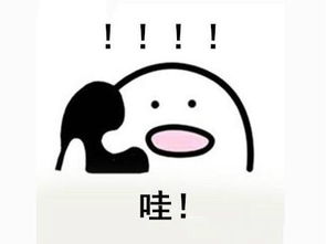 华盛昌辰和车展巅峰钜惠提前惊夏来袭