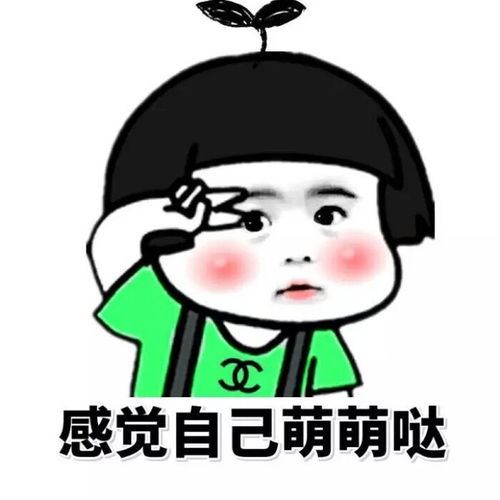 十条段子学生什么时候开学天天相爱相杀,霸占我的电脑和手机