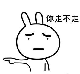微信恶搞兔子表情包你不走我走