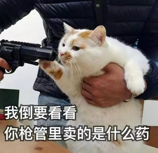 日本女生变心快霓虹人民们票选出的好用单品