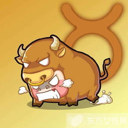 金牛头像男生性格