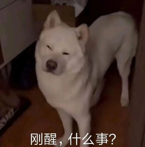 搞笑文案万万没想到系列