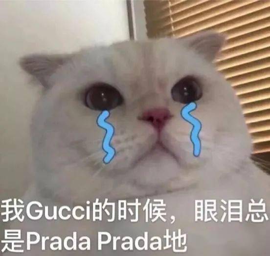 澳洲名企targetschool名单曝光这些留学生也太爽了吧