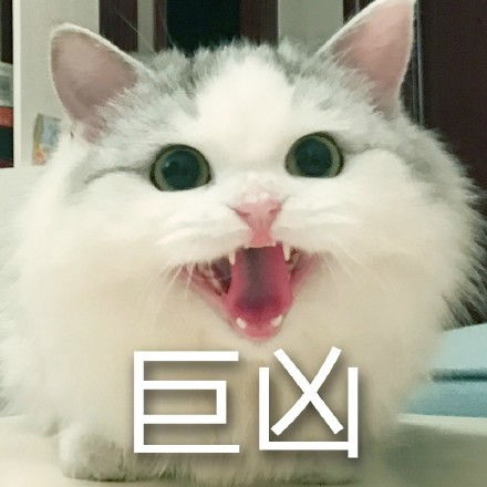 猫猫超凶表情包