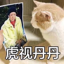 新闻哥被嫌弃的中年女演员,不演妈就不能用吗