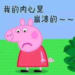 哈哈哈佩奇出事了一女生寝室内养猪,被通报了结果
