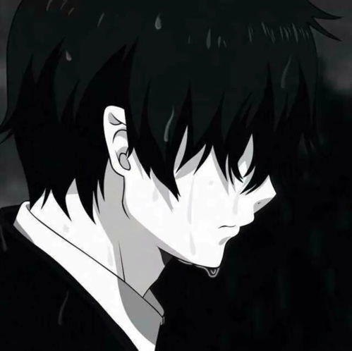动漫男头新赛季容易d到cp的巅峰男头