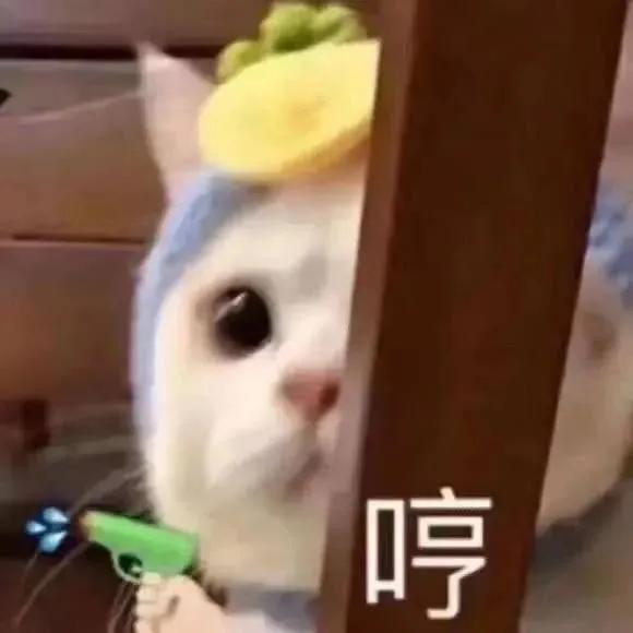 沙雕表情包我只是一个老实人