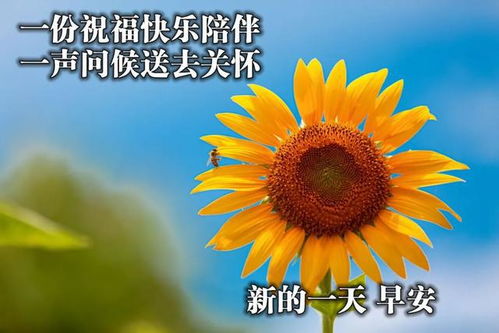 春天早上好问候祝福语带图片,早晨问候早安,唯美简短句子表情包