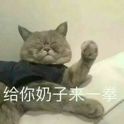 你都用过那些特别有趣的表情包
