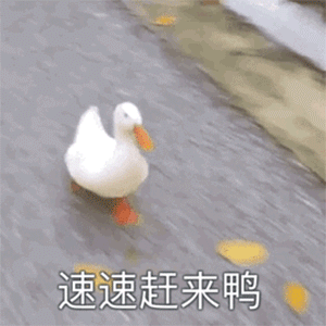 沙雕图片搞笑表情包集,不信你不笑