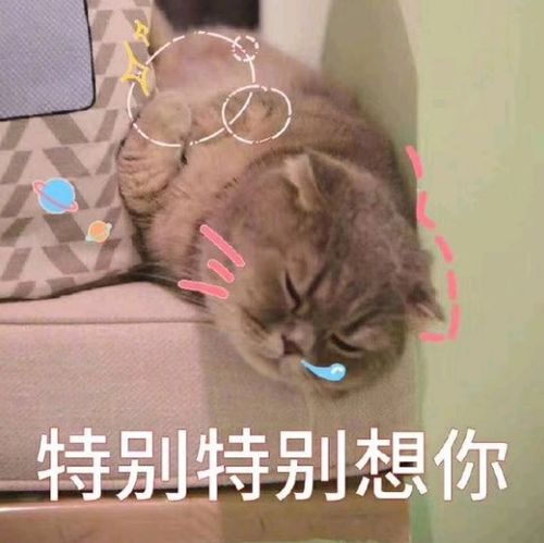 幽默笑话我们学校食堂的伙食很一般