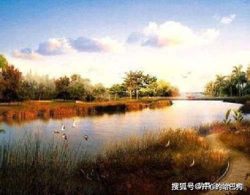 杨万里很冷门的绝句,富有哲理,令人启迪深刻