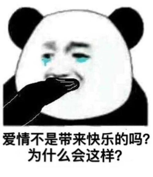 精选超好玩怼人熊猫头表情包你个白痴到底想表达什么