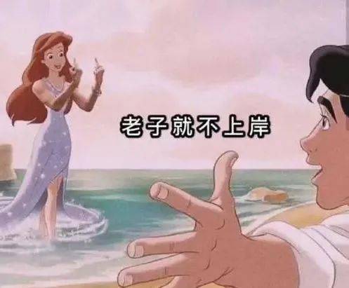浪迹半生的酷酷,终究还是栽了白甜