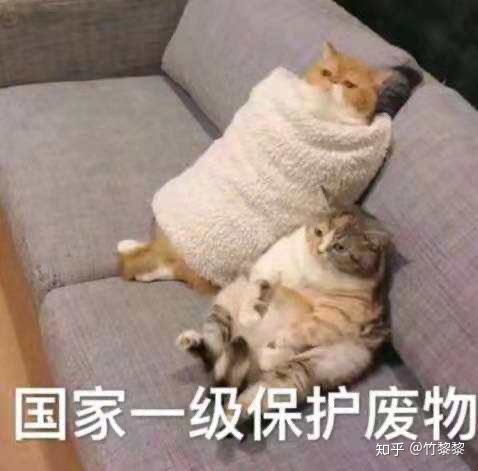 求庄周各阶段玩法以及出装