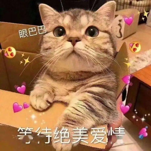 有趣搞笑的沙雕表情包,赶紧收图