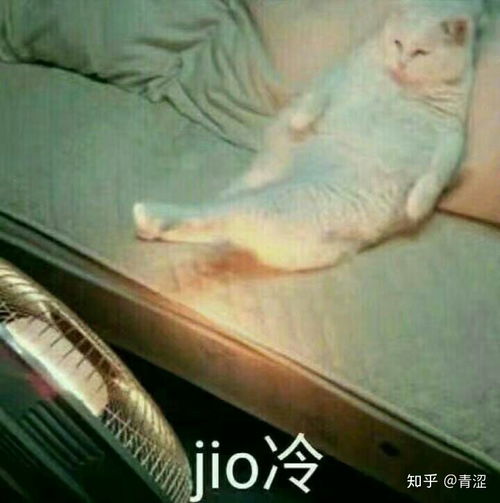 你有哪些有趣的表情包