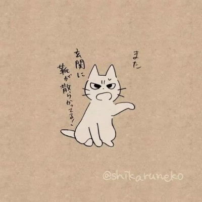 卡通猫的头像画师