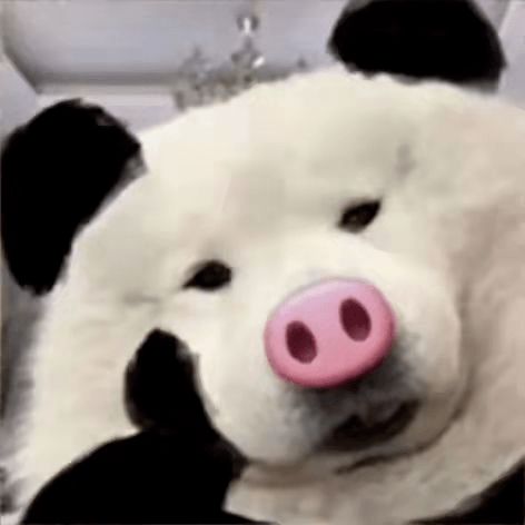 千万别随便学网红买衣服哈哈哈哈哈哈哈哈买家秀笑到我报警