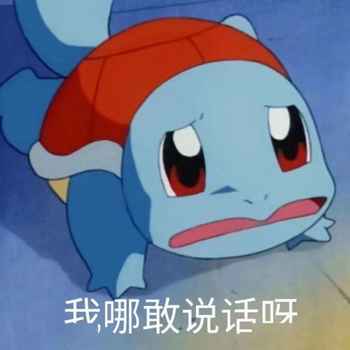 搞笑可爱的表情包泰洛
