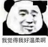 今日份熊猫头沙雕表情包