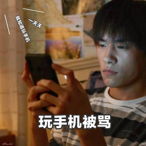 易烊千玺当代青年放假回家图鉴表情包合集,可可爱爱的烊宝来了