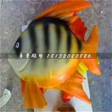 首页深蓝左岸水族公司主营观赏鱼金鱼热带鱼