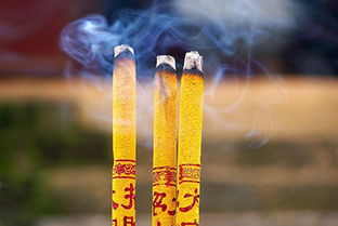 40岁后官运亨通,财富一路暴增的好运生肖