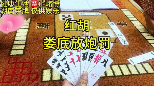 红胡跑胡子娄底放炮罚跑胡子技巧字牌打牌放炮罚技巧