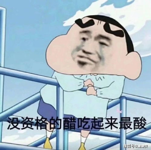 必备表情包图片我错了,但就是你不对