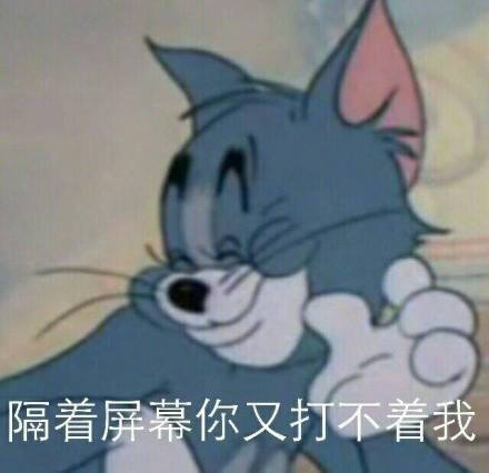 二次元表情包斗图恶搞文字表情包聊天表堆糖,美图壁纸兴趣社区