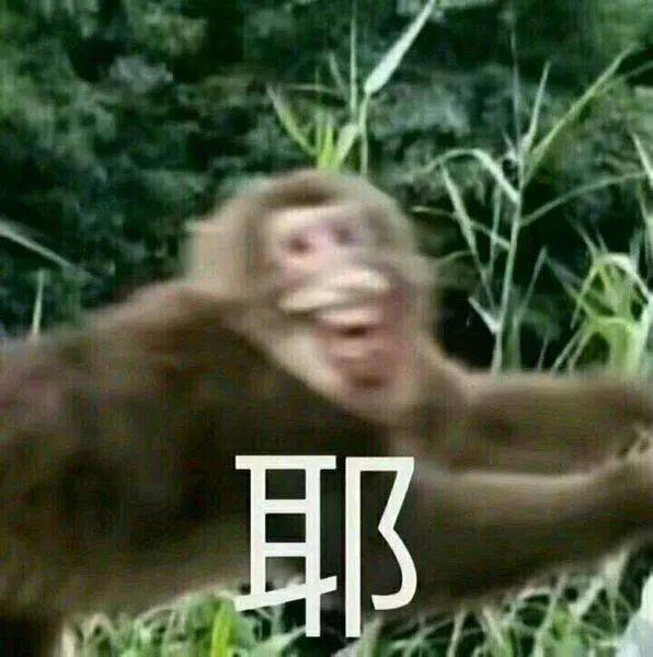 原创小权带你逛医院