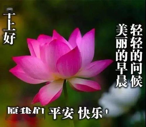 早安表情包搞笑图片祝福