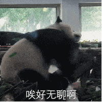 沙雕搞笑表情包i还挺无语的