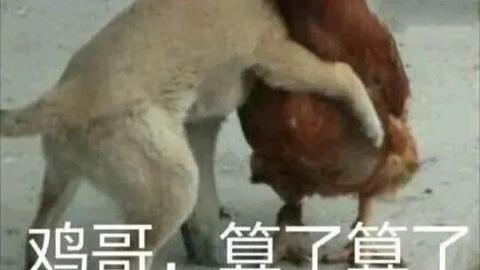 夜猫网吧玩吃鸡要钱,我这里玩吃鸡哔哩哔哩bilibili