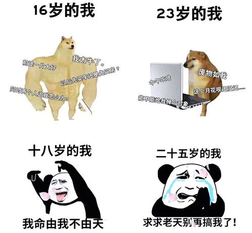 动态表情包搞笑沙雕生气