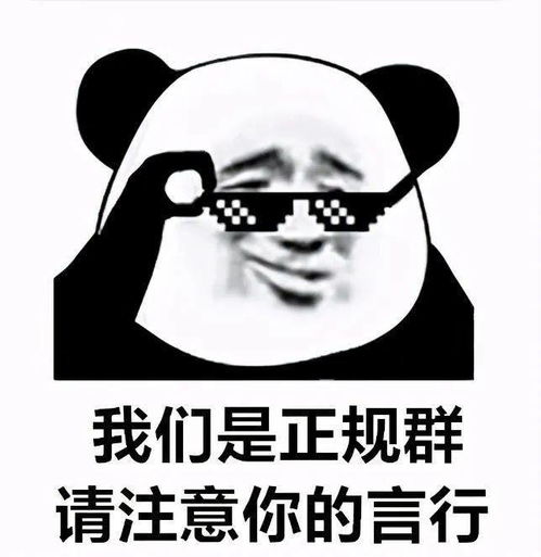 热门表情包表情包动图大全