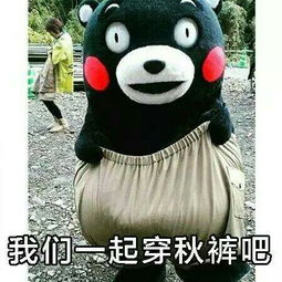 你见到过最有趣的表情图